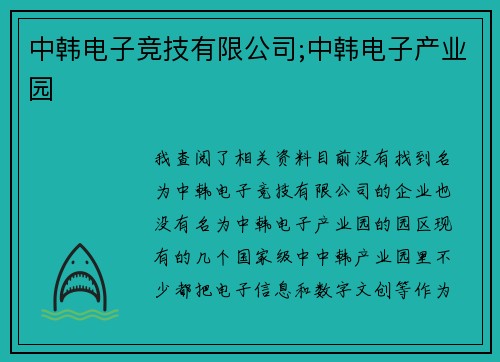 中韩电子竞技有限公司;中韩电子产业园